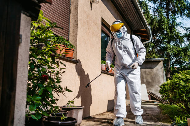 Best Affordable Pest Control Services  in , IN