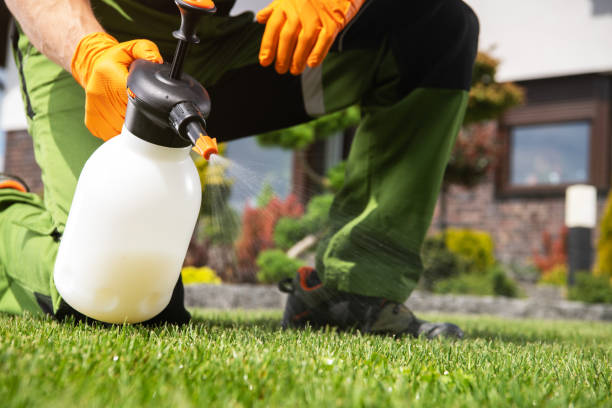 Best Affordable Pest Control Services  in , IN